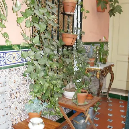 El Andaluz 3* Малага